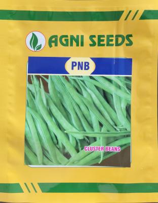 Cluster Beans 500gms
